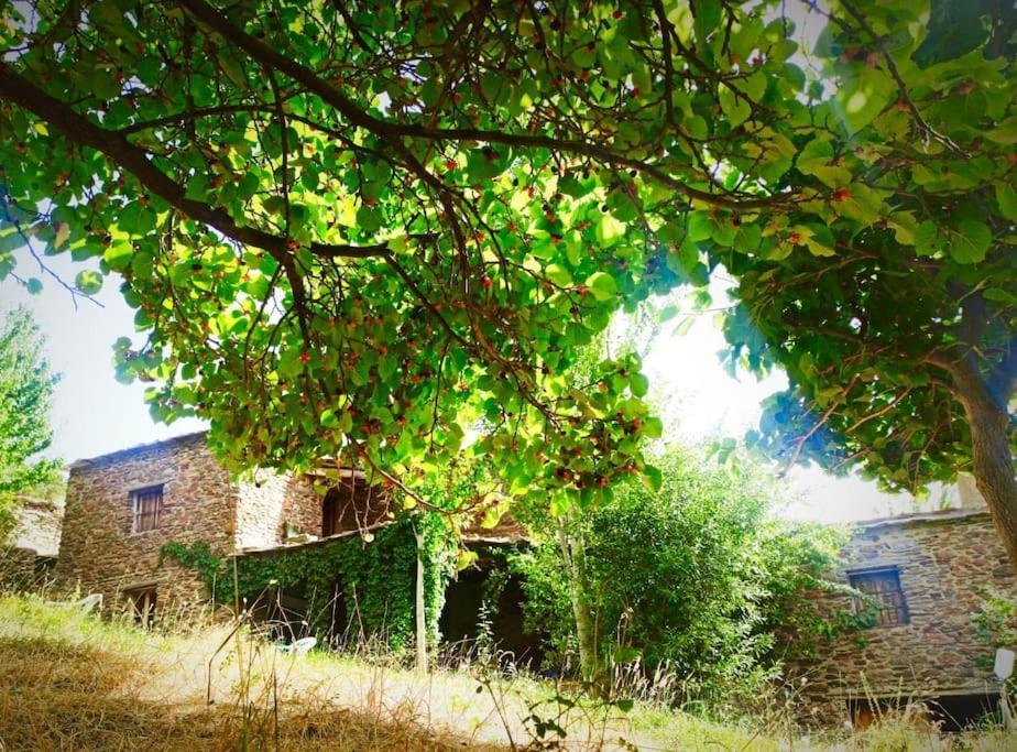 Cortijo Rural El Albercon - Capileira - Alpujarra Rural Villa ภายนอก รูปภาพ