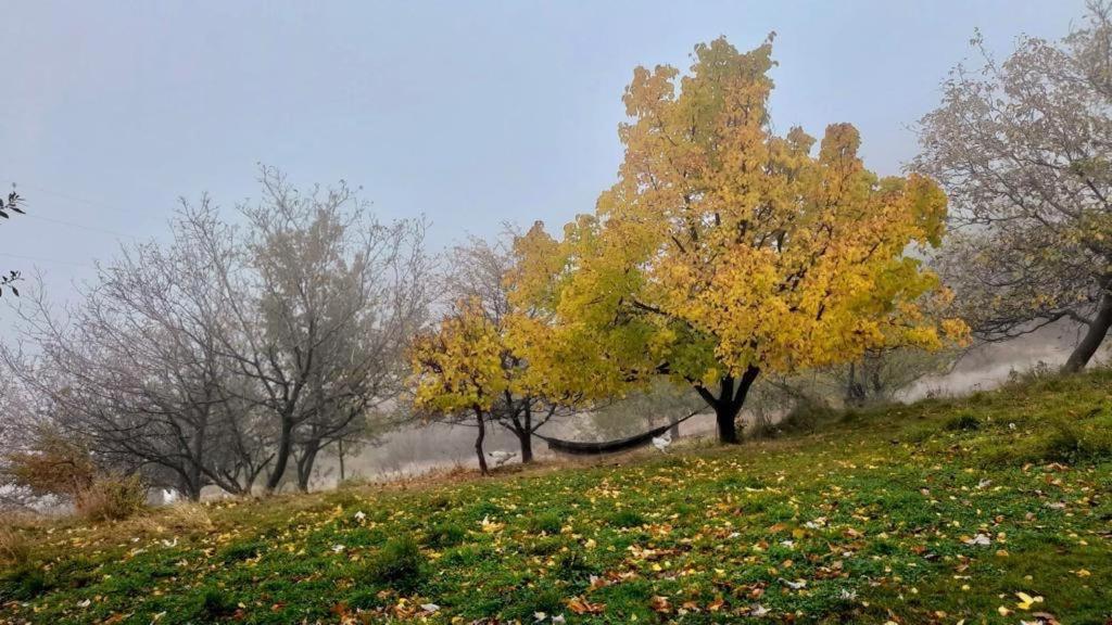 Cortijo Rural El Albercon - Capileira - Alpujarra Rural Villa ภายนอก รูปภาพ