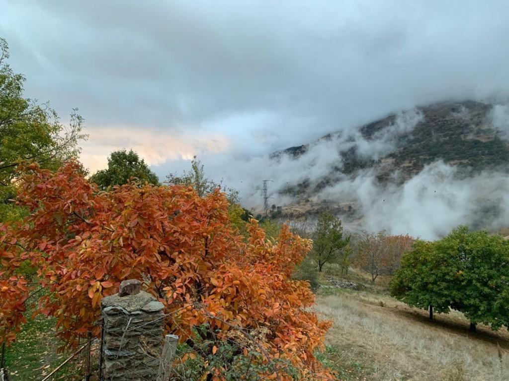 Cortijo Rural El Albercon - Capileira - Alpujarra Rural Villa ภายนอก รูปภาพ