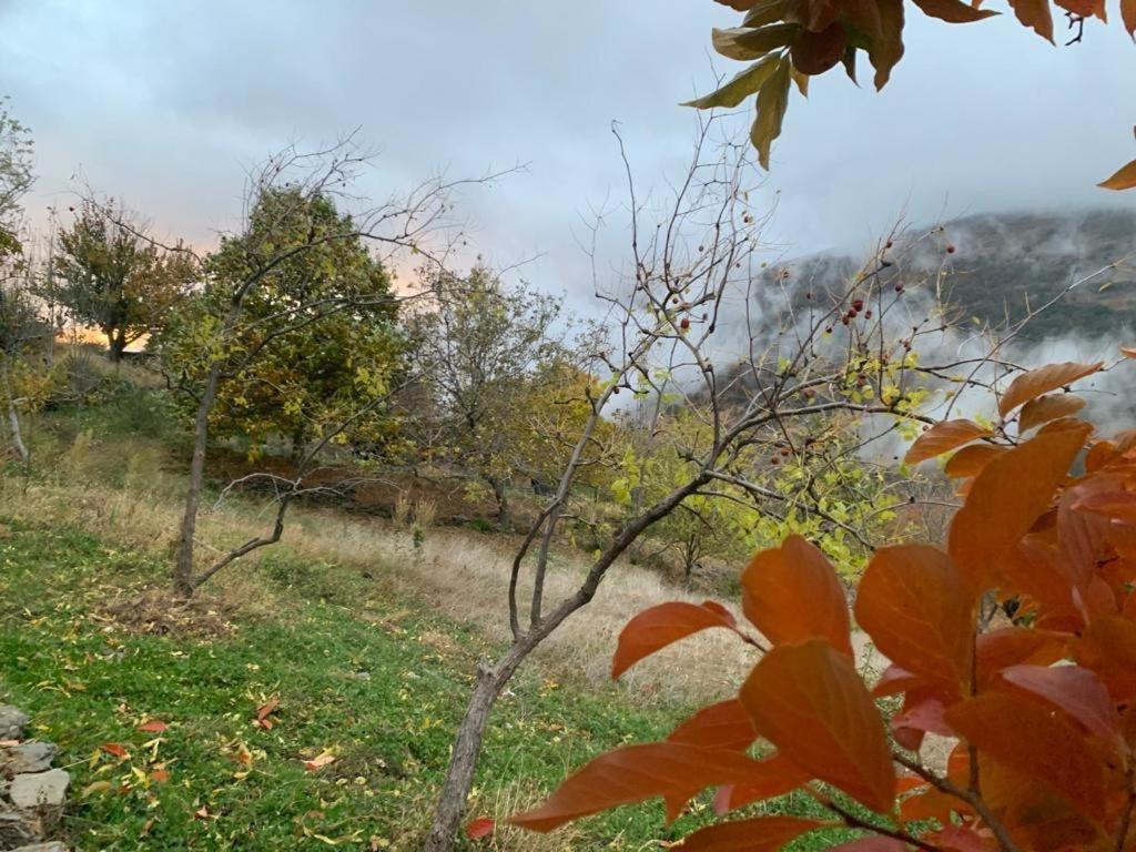 Cortijo Rural El Albercon - Capileira - Alpujarra Rural Villa ภายนอก รูปภาพ