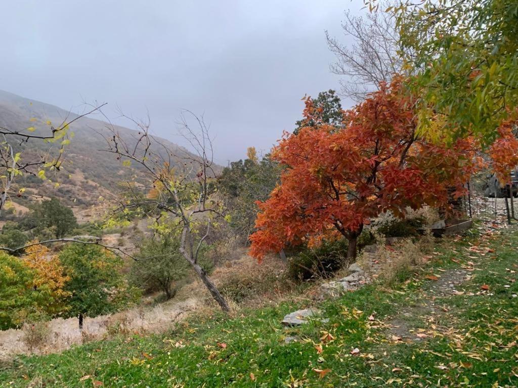 Cortijo Rural El Albercon - Capileira - Alpujarra Rural Villa ภายนอก รูปภาพ