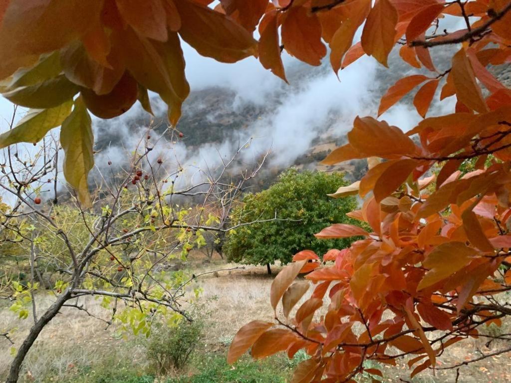 Cortijo Rural El Albercon - Capileira - Alpujarra Rural Villa ภายนอก รูปภาพ
