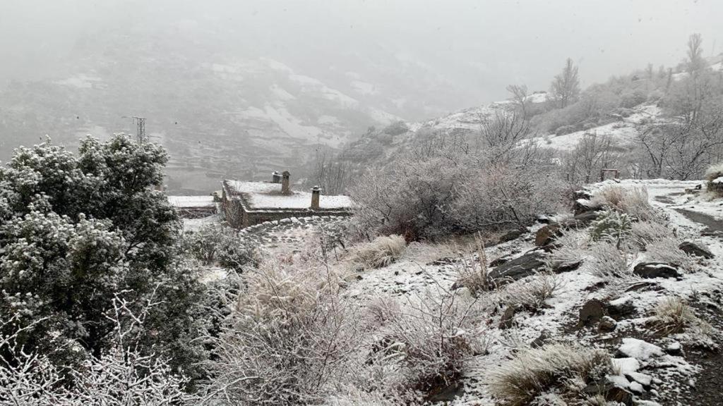Cortijo Rural El Albercon - Capileira - Alpujarra Rural Villa ภายนอก รูปภาพ